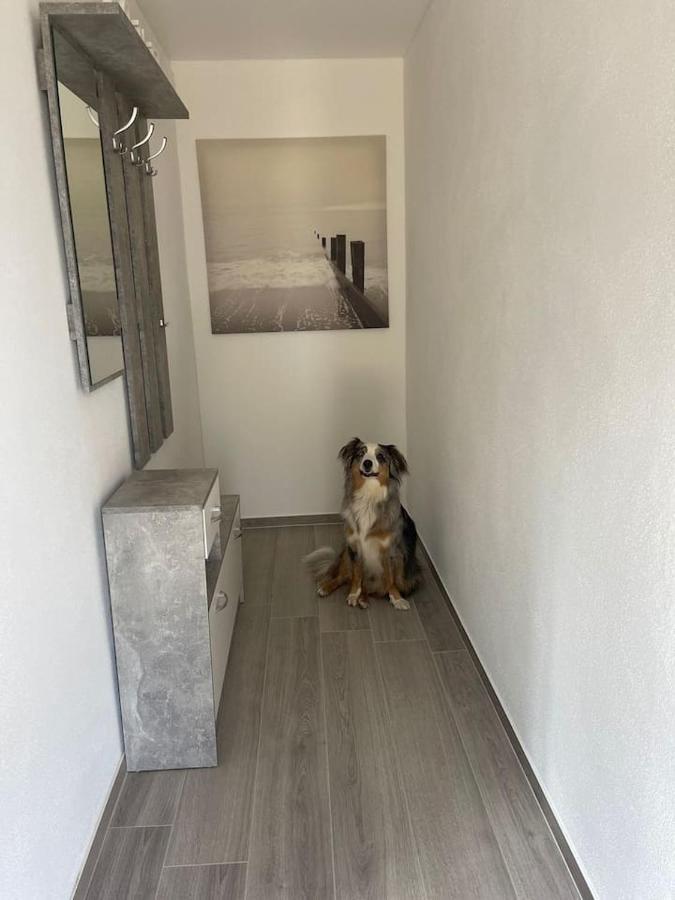 Pferdehof Simon Appartement Binscheid Buitenkant foto